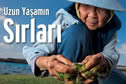 Uzun Yaşamanın Sırları