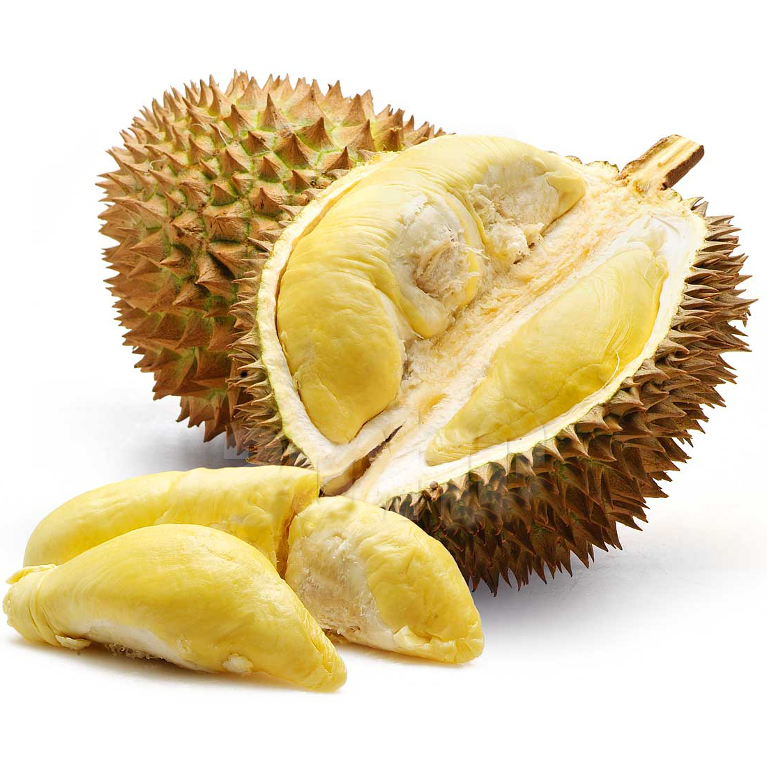 durian1.jpg