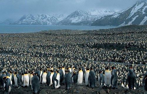 İlginç ve Eğlenceli Resimler -2 galerisi resim 12