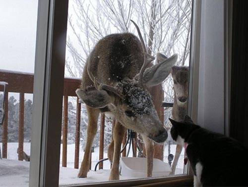 İlginç ve Eğlenceli Resimler -2 galerisi resim 16