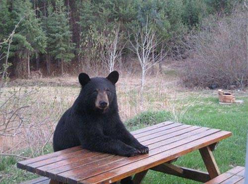 İlginç ve Eğlenceli Resimler -2 galerisi resim 18