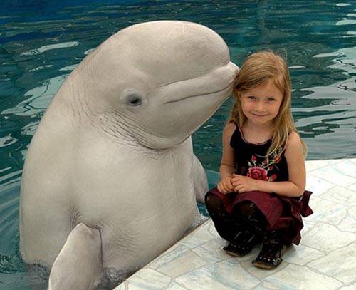 İlginç ve Eğlenceli Resimler -2 galerisi resim 21