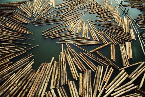 İlginç ve Eğlenceli Resimler -2 galerisi resim 4