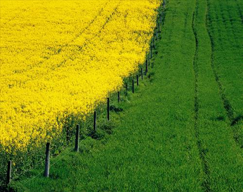 İlginç ve Eğlenceli Resimler -2 galerisi resim 6