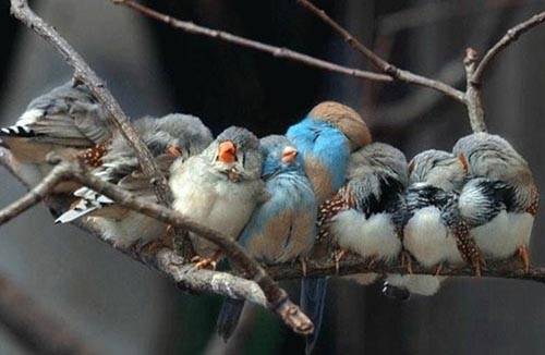 İlginç ve Eğlenceli Resimler -2 galerisi resim 8