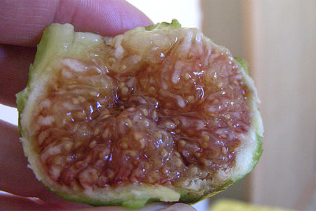 Her biri şifa deposu galerisi resim 27