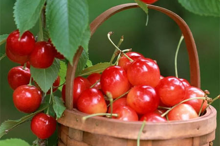 Her biri şifa deposu galerisi resim 3