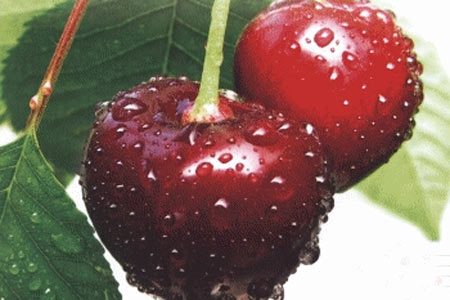 Her biri şifa deposu galerisi resim 4