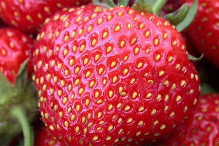 Her biri şifa deposu galerisi resim 6