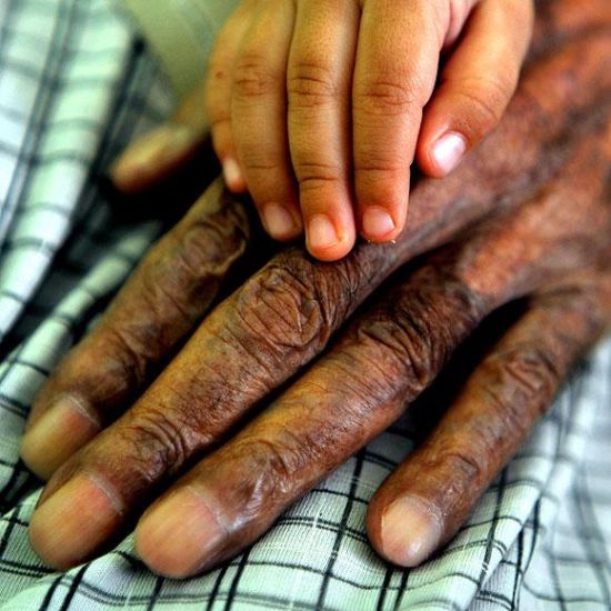 3 Padişah 11 Cumhurbaşkanı eskitti galerisi resim 6