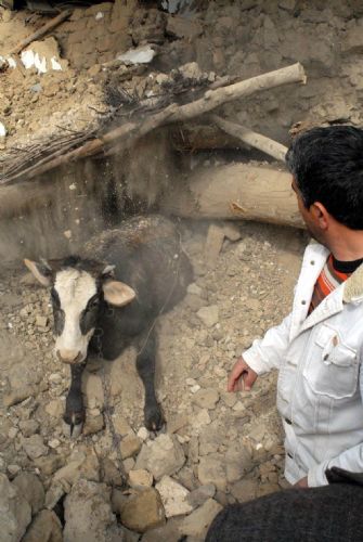 Elazığ'da deprem (08 Mart 2010) galerisi resim 2
