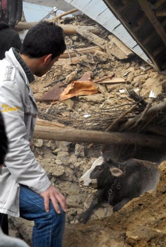 Elazığ'da deprem (08 Mart 2010) galerisi resim 3
