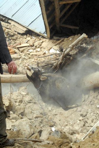 Elazığ'da deprem (08 Mart 2010) galerisi resim 4
