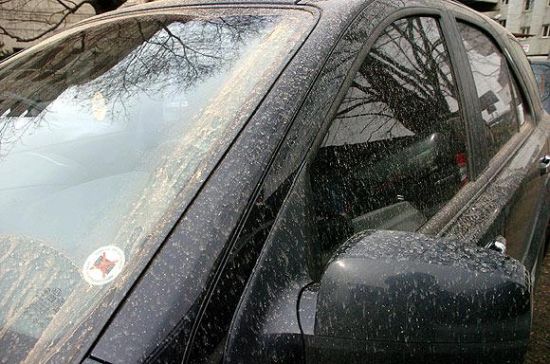 Eskişehir'e toz, Bolu'ya çamur yağdı galerisi resim 6