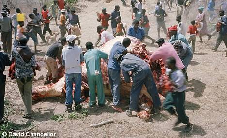 İşte açlığın resmi galerisi resim 4