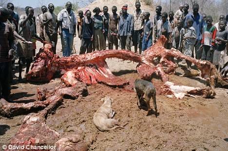 İşte açlığın resmi galerisi resim 5