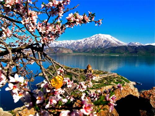 Yılın en iyi fotoğrafları galerisi resim 13