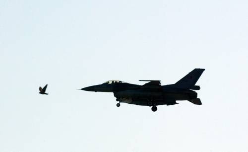 Yılın en iyi fotoğrafları galerisi resim 15