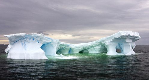 Bunlar doğanın eseri galerisi resim 1