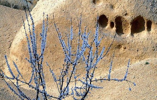 Kapadokya baharla birlikte tablo gibi... galerisi resim 5