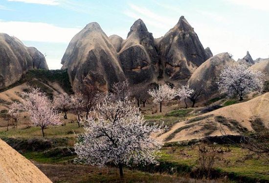 Kapadokya baharla birlikte tablo gibi... galerisi resim 6