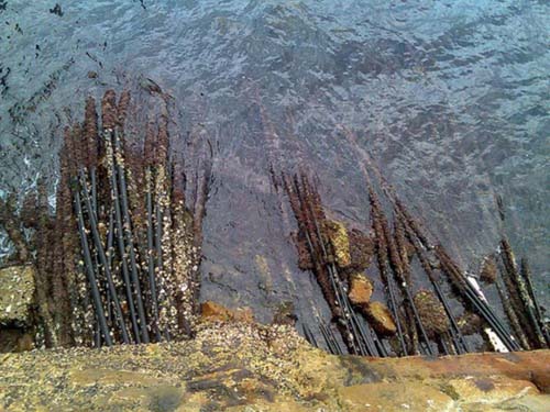 Dünyaya bu kablolarla bağlanıyoruz galerisi resim 3