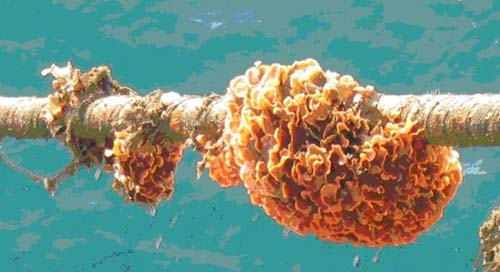 Dünyaya bu kablolarla bağlanıyoruz galerisi resim 7