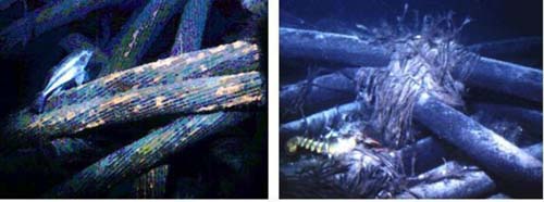 Dünyaya bu kablolarla bağlanıyoruz galerisi resim 9