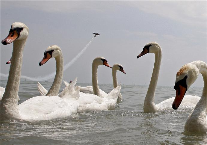 Haftanın Fotoğrafı galerisi resim 8