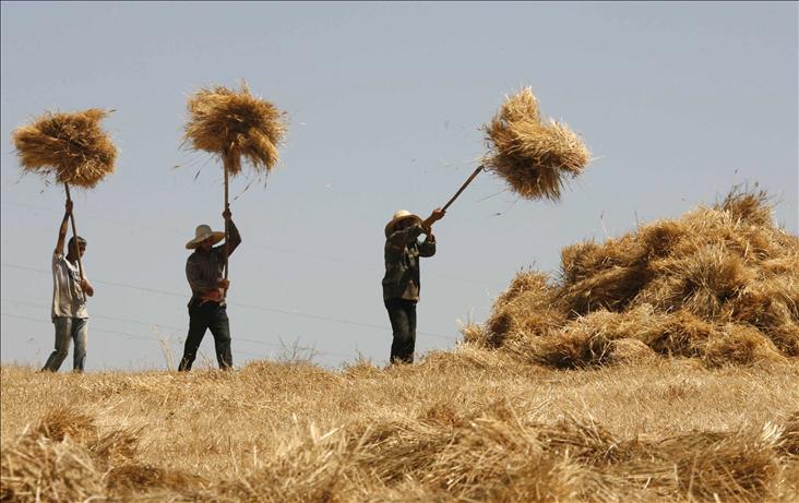 Haftanın Fotoğrafı galerisi resim 9