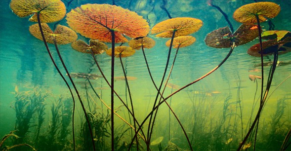 Dünyanın en güzel 40 fotoğrafı-1 galerisi resim 11