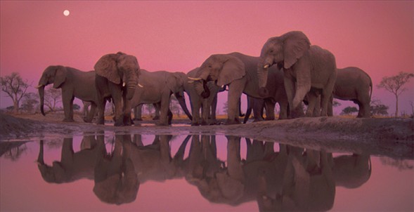 Dünyanın en güzel 40 fotoğrafı-1 galerisi resim 12