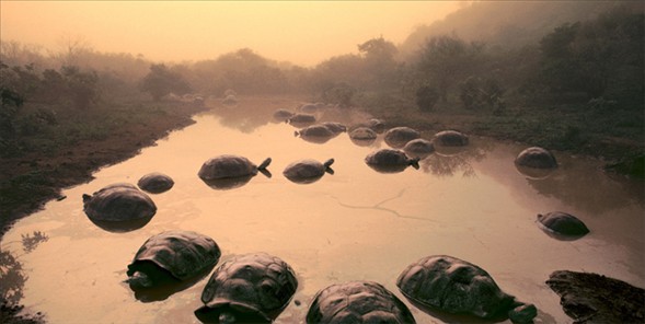 Dünyanın en güzel 40 fotoğrafı-1 galerisi resim 13