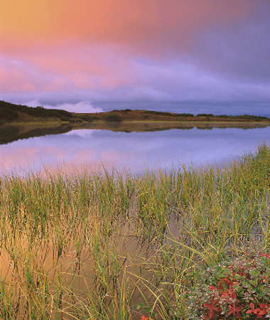 Dünyanın en güzel 40 fotoğrafı-1 galerisi resim 15