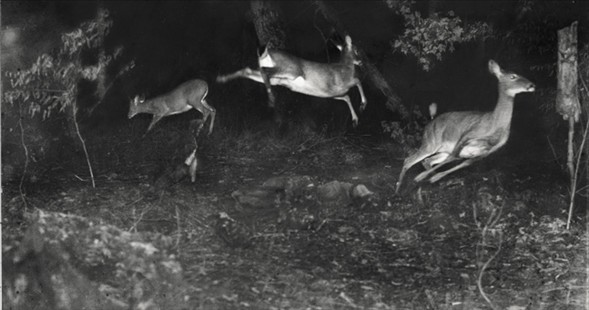 Dünyanın en güzel 40 fotoğrafı-1 galerisi resim 16