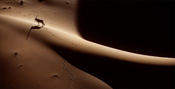 Dünyanın en güzel 40 fotoğrafı-1 galerisi resim 17