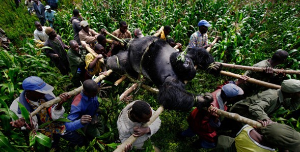 Dünyanın en güzel 40 fotoğrafı-1 galerisi resim 2