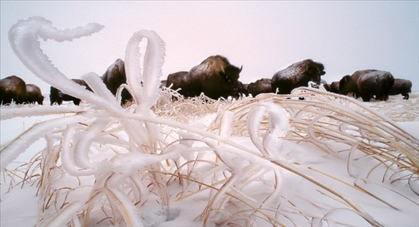 Dünyanın en güzel 40 fotoğrafı-1 galerisi resim 20
