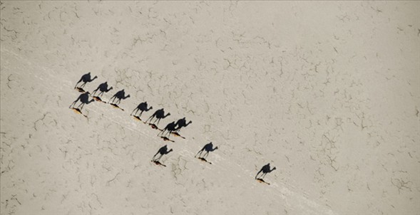 Dünyanın en güzel 40 fotoğrafı-1 galerisi resim 5