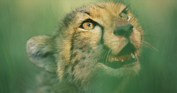 Dünyanın en güzel 40 fotoğrafı-1 galerisi resim 6