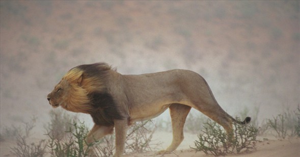 Dünyanın en güzel 40 fotoğrafı-1 galerisi resim 7
