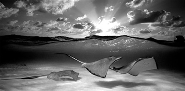 Dünyanın en güzel 40 fotoğrafı-1 galerisi resim 8