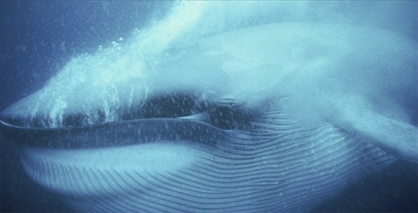 Dünyanın en güzel 40 fotoğrafı-1 galerisi resim 9