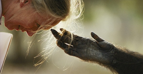 Dünyanın en güzel 40 fotoğrafı - 2 galerisi resim 1