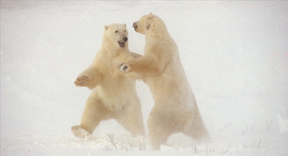 Dünyanın en güzel 40 fotoğrafı - 2 galerisi resim 10