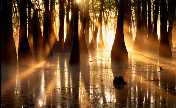 Dünyanın en güzel 40 fotoğrafı - 2 galerisi resim 12
