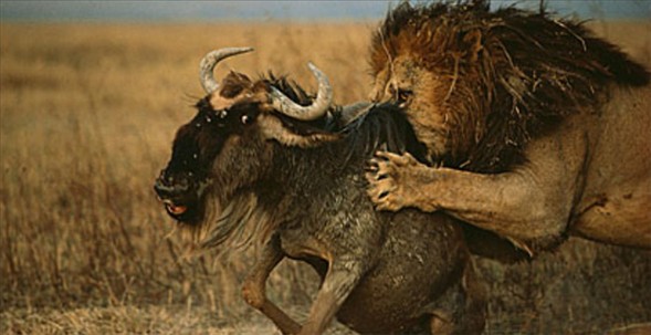 Dünyanın en güzel 40 fotoğrafı - 2 galerisi resim 13