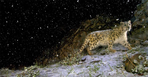 Dünyanın en güzel 40 fotoğrafı - 2 galerisi resim 17