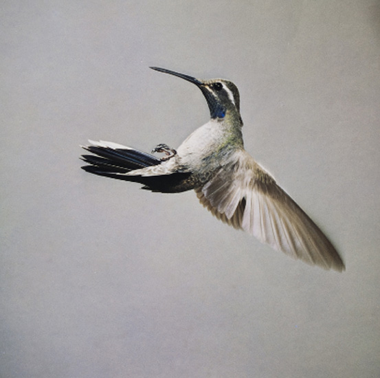 Dünyanın en güzel 40 fotoğrafı - 2 galerisi resim 18