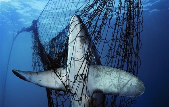 Dünyanın en güzel 40 fotoğrafı - 2 galerisi resim 20